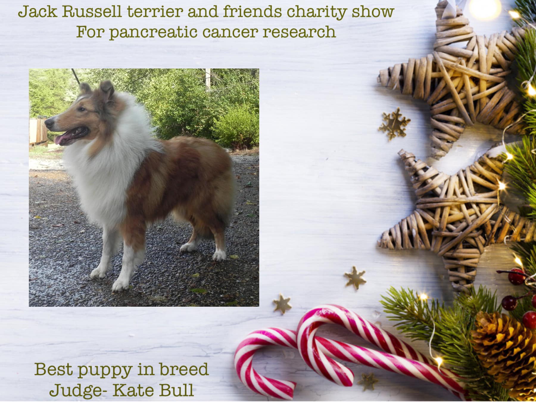 Classic Kennels Show Brags Classic Kennels